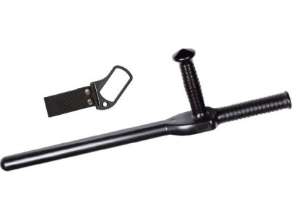 1e6602c0eb1998386d8ef6e537f3f781