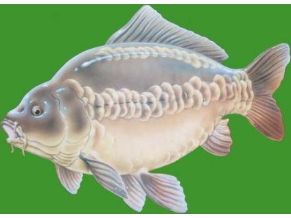 Tričko (tričko) potlač kapor (Veľkosť S)