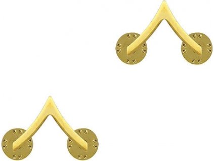 Odznak hodnosť vojakov zlatý US Private Gold (Balenie 1 ks)