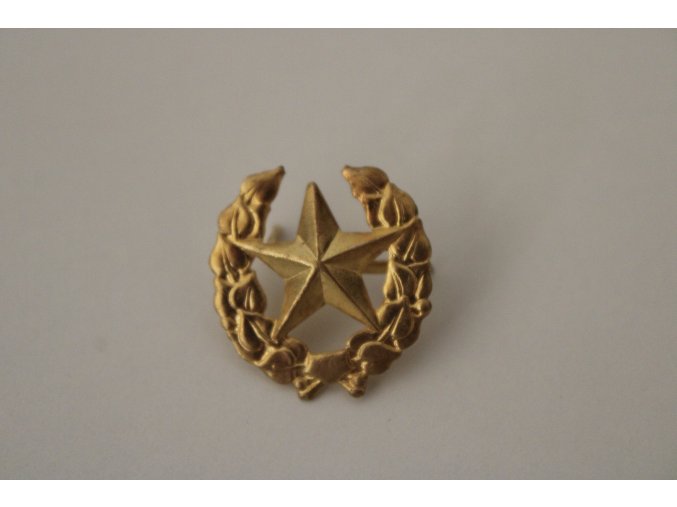 Odznak ČSLA vševojskový(lehký) - zlatý