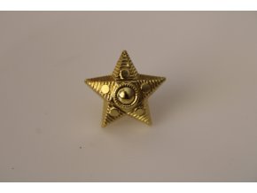 Odznak AČR hvězda velká - zlatá