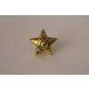 Odznak AČR hvězda velká - zlatá