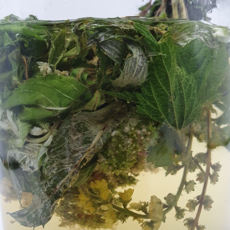 JE ČAS NA KVĚTINKOVÝ ARNOŠTICKÝ ČAJ!