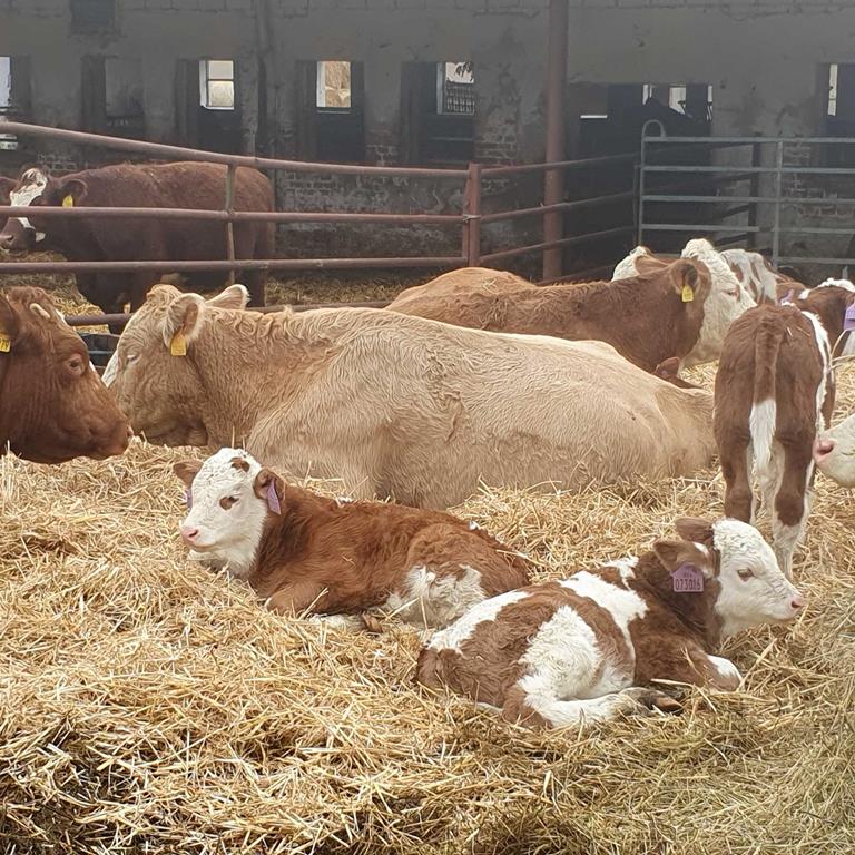 TELECÍ SEZÓNA 2024 JE TU!