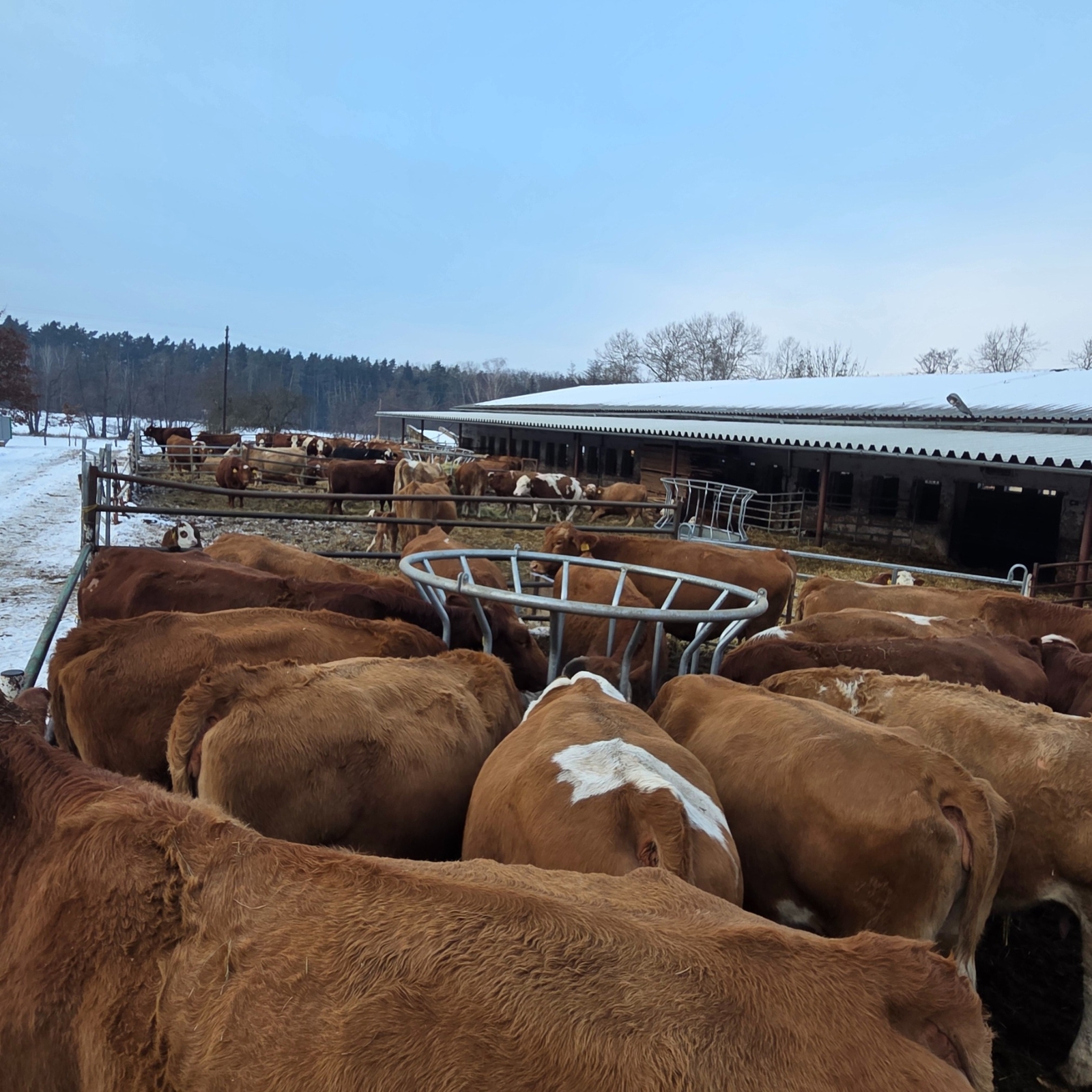 FARMÁŘSKÉ STROJE A VYBAVENÍ 2025