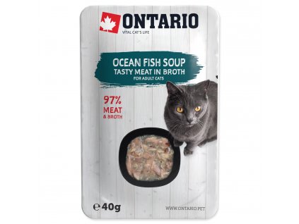 ONTARIO Cat Soup Ocean Fish