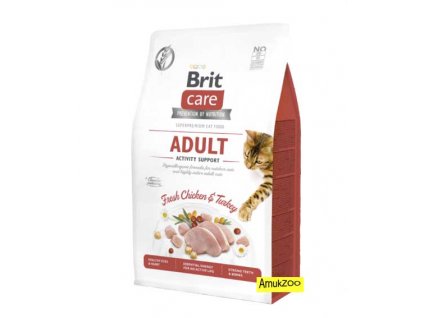 brit care activity support