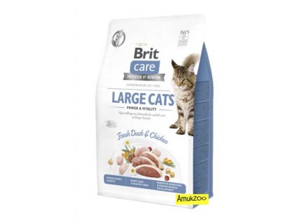 brit care large cats