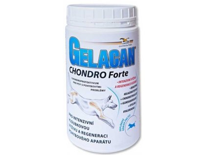 gelacan chondro forte