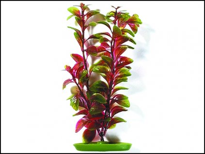 Rostlina MARINA Red Ludwigia 20 cm