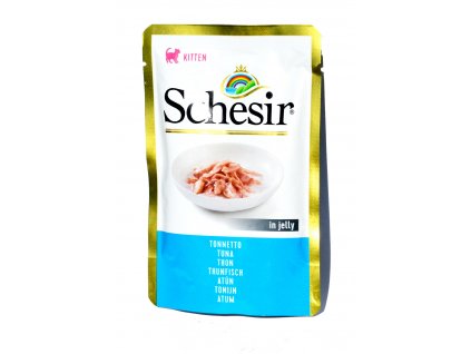 schesir kapsa kitten tunak