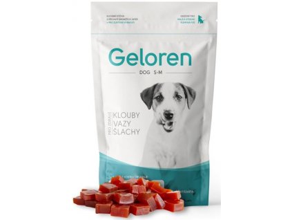 geloren dog S M 60 tbl