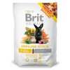 Snack BRIT Animals Immune Stick for Rodents 80g