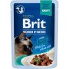 Brit Premium by Nature Cat Delicate Fillets in Gravy with Beef 85 g