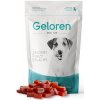 geloren dog S M 60 tbl