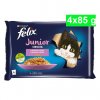 felix fantastic junior 4x85