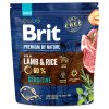 BRIT Premium by Nature Sensitive Lamb 1kg