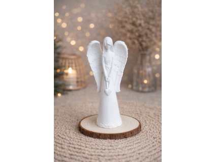 WhatsApp Image 2026 01 10 at 17.11.54