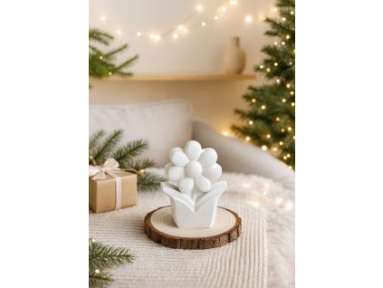 Obrázek WhatsApp, 2025 11 27 v 10.09.32 24a1f78a