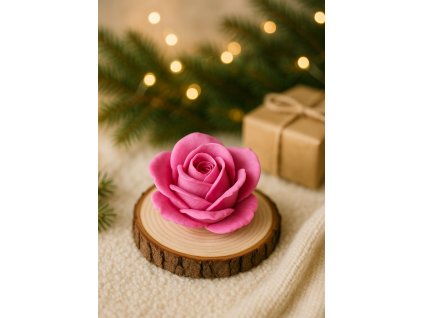 Obrázek WhatsApp, 2025 11 27 v 10.52.26 edd9eaf3