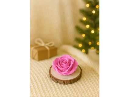 Obrázek WhatsApp, 2025 11 27 v 11.24.18 6a472320