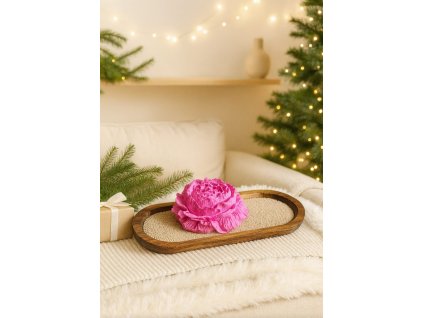 Obrázek WhatsApp, 2025 11 27 v 10.04.22 9552b39f