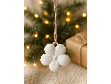 Obrázek WhatsApp, 2025 11 27 v 11.12.47 420a86c5