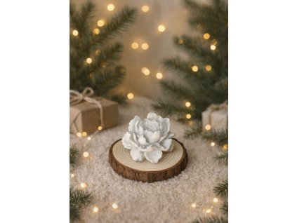 Obrázek WhatsApp, 2025 11 27 v 11.58.46 38152019