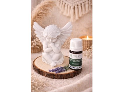 Aroma anděl  štěstí