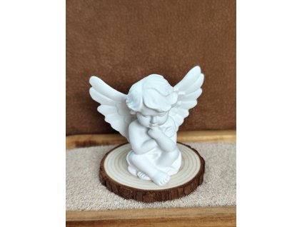 Obrázek WhatsApp, 2025 09 16 v 15.49.56 038c22a6