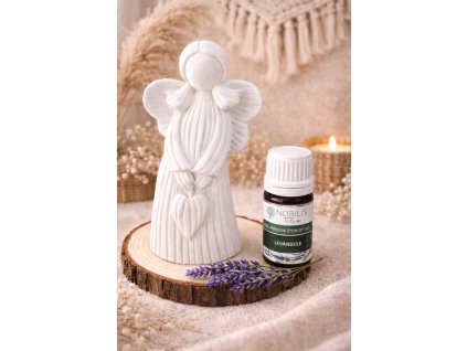 Anděl něžné krásy