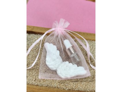 Obrázek WhatsApp, 2025 09 13 v 07.32.01 dfffd8c6