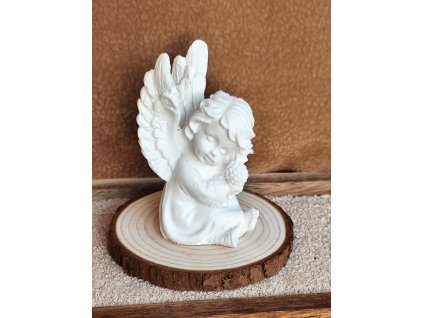 Obrázek WhatsApp, 2025 09 20 v 09.39.35 5c3a573d