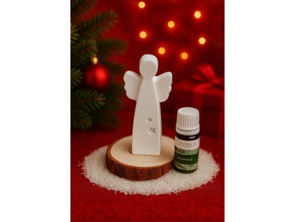 Obrázek WhatsApp, 2025 11 27 v 20.10.21 2da0b1a5