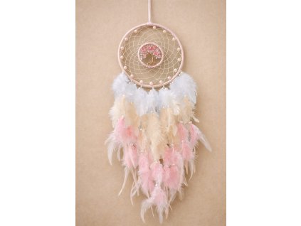 WhatsApp Image 2025 12 30 at 18.25.26 (1)