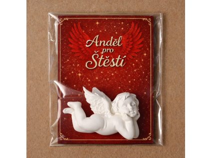 WhatsApp Image 2026 02 01 at 23.19.37