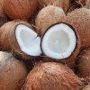 kokosový olej
