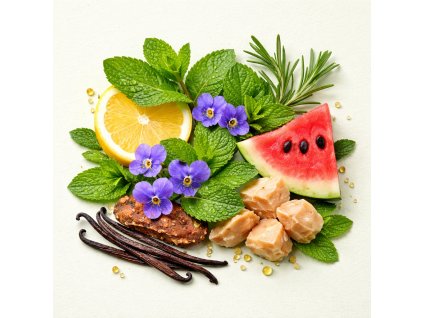 Albero Di Oliva DBB 86651