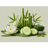 Bamboo and Cucumber DBB 35648 Aroma Global
