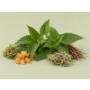 Nettle DBB 97715 Aroma Global