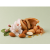 Almond Sweet DBB 91806 Aroma Global
