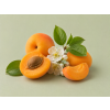Apricot DBB 91803 Aroma Global