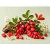 Barberry DBB 10101