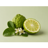 Bergamot DBB 54321 Aroma Global