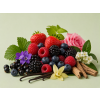 Berries Wild DBB 21511 Aroma Global