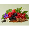 Berry Forest DBB 28701 Aroma Global