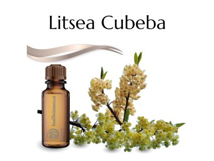 Aróma olej Litsea Cubeba