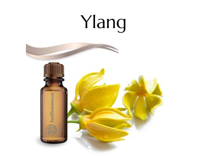 Aróma olej Ylang