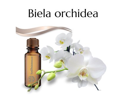 Aróma olej Biela orchidea
