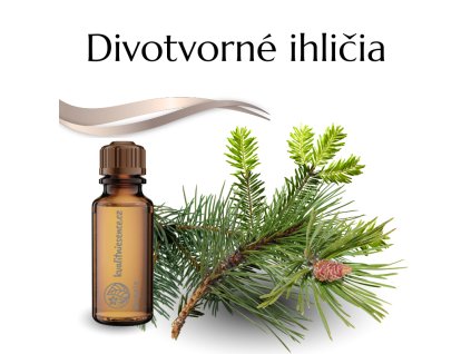 Divotvorné ihličia